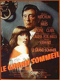 Le grand sommeil