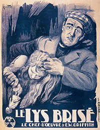 Le lys brisé