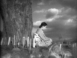 Histoire d'herbes flottantes de Yasujirô Ozu